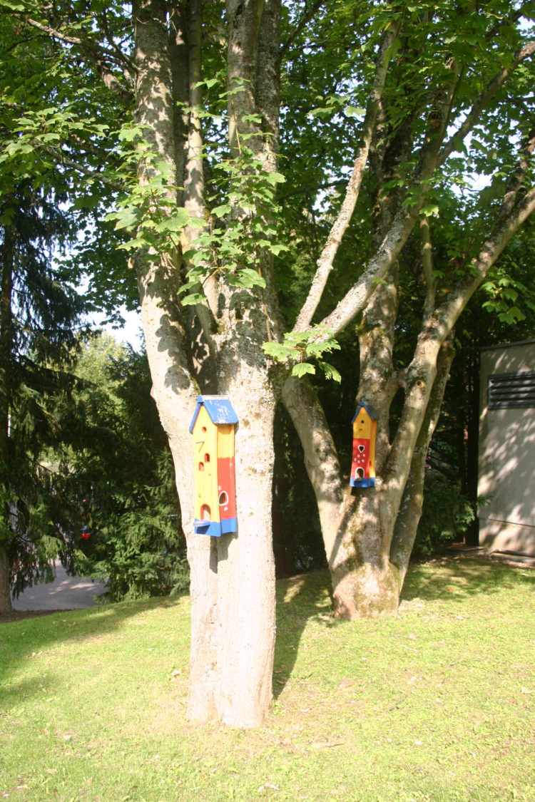 Kids Camp in the Rhine-Main-Area